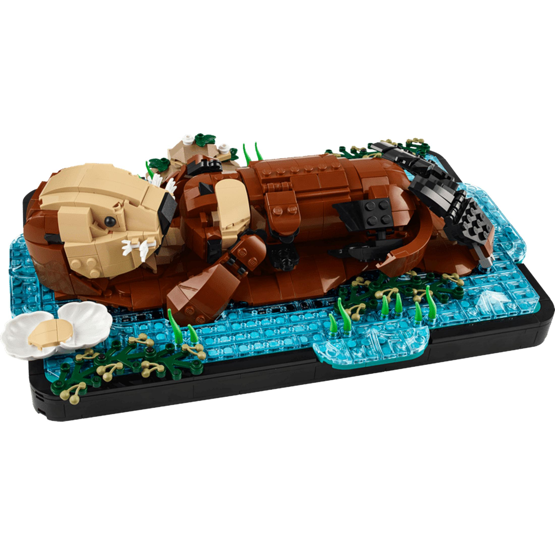 Lego wydra morska leży na plecach w niebieskiej wodzie z muszlą i zielonymi roślinami.