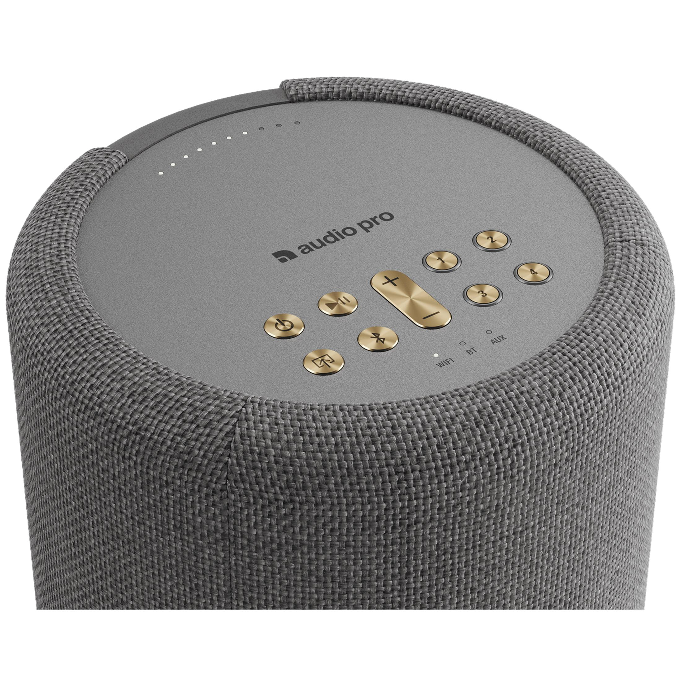 Grauer Lautsprecher mit goldenen Bedienelementen und dem Logo von Audio Pro.