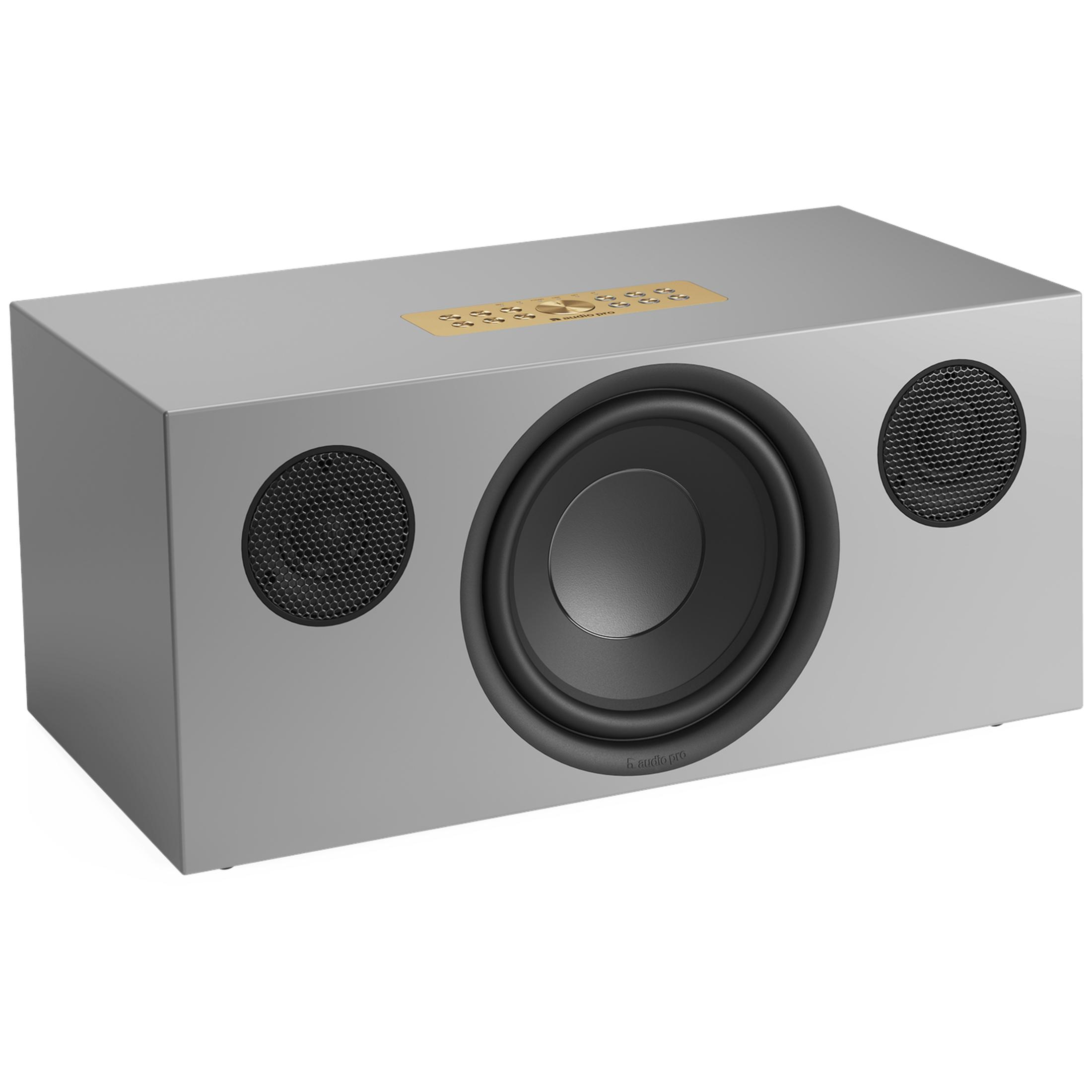 Grauer Subwoofer mit schwarzem Lautsprecher und zwei runden Gittern.