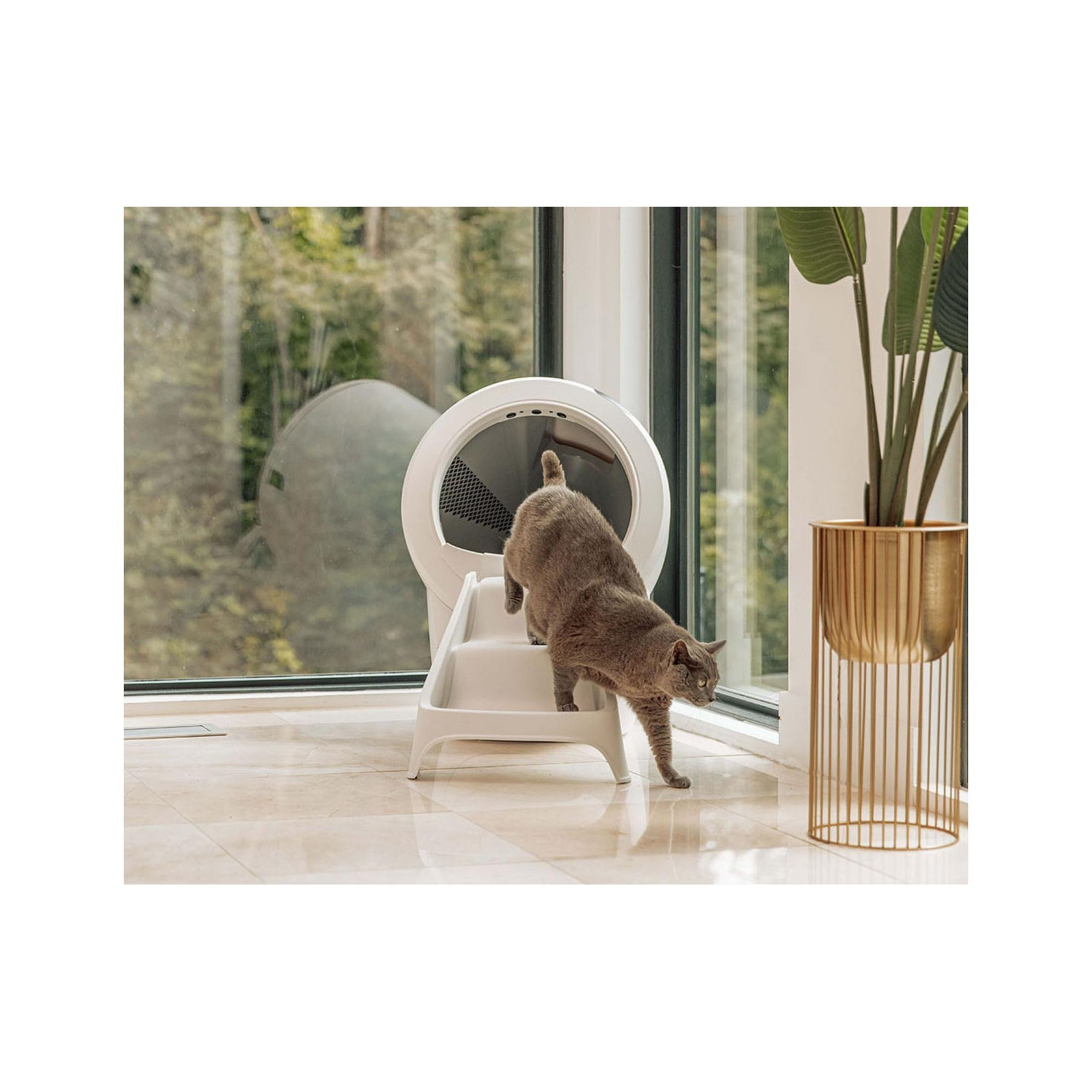 Eine graue Katze steigt auf die Stufen eines weißen Katzenklo-Gehäuses.