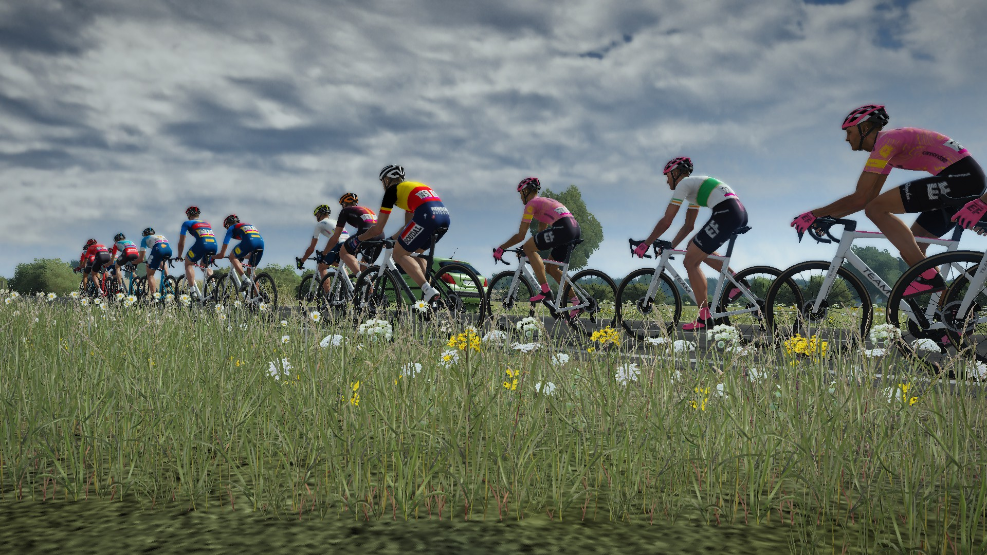 Radsportler fahren in einer Gruppe auf einer Straße, umgeben von Blumen und Gras.