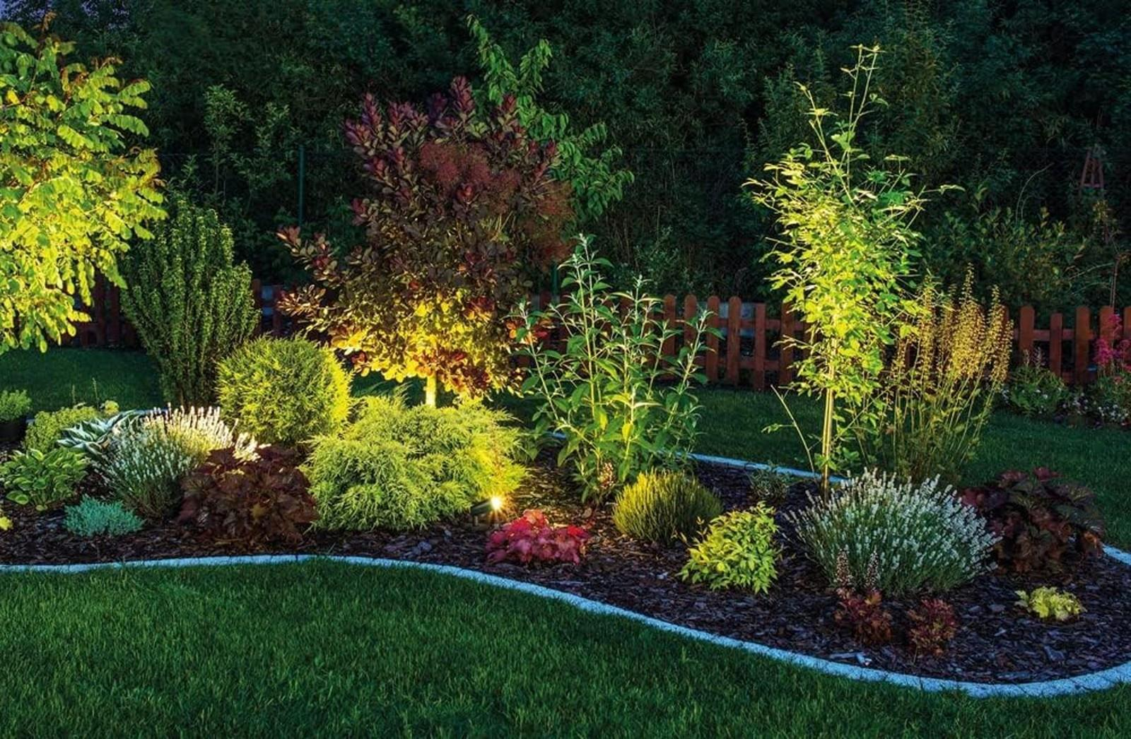 Beleuchteter Garten mit verschiedenen Pflanzen und einem Holzzaun im Hintergrund.