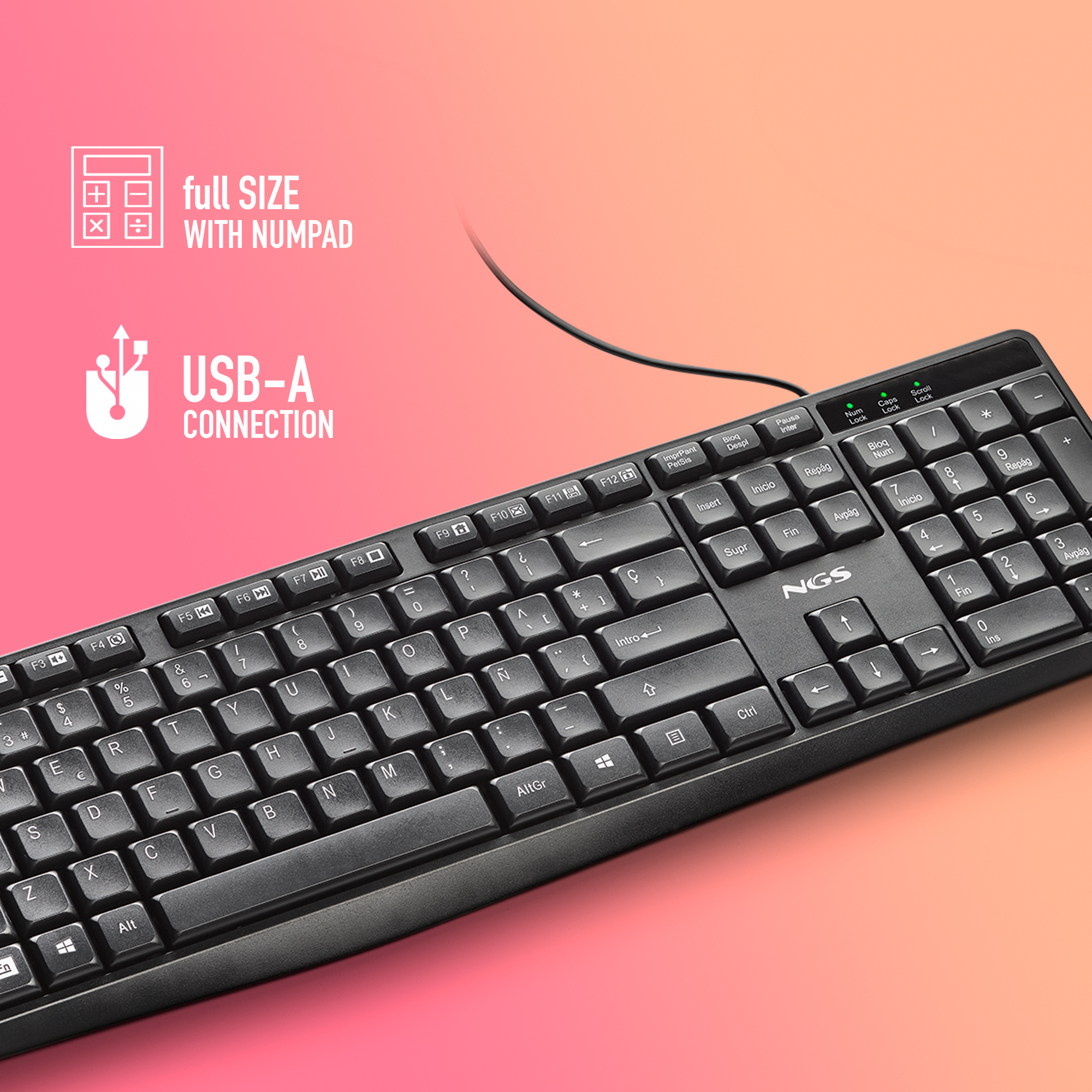 Tastiera USB nera con tastierino numerico, primo piano di tasti e cavo.