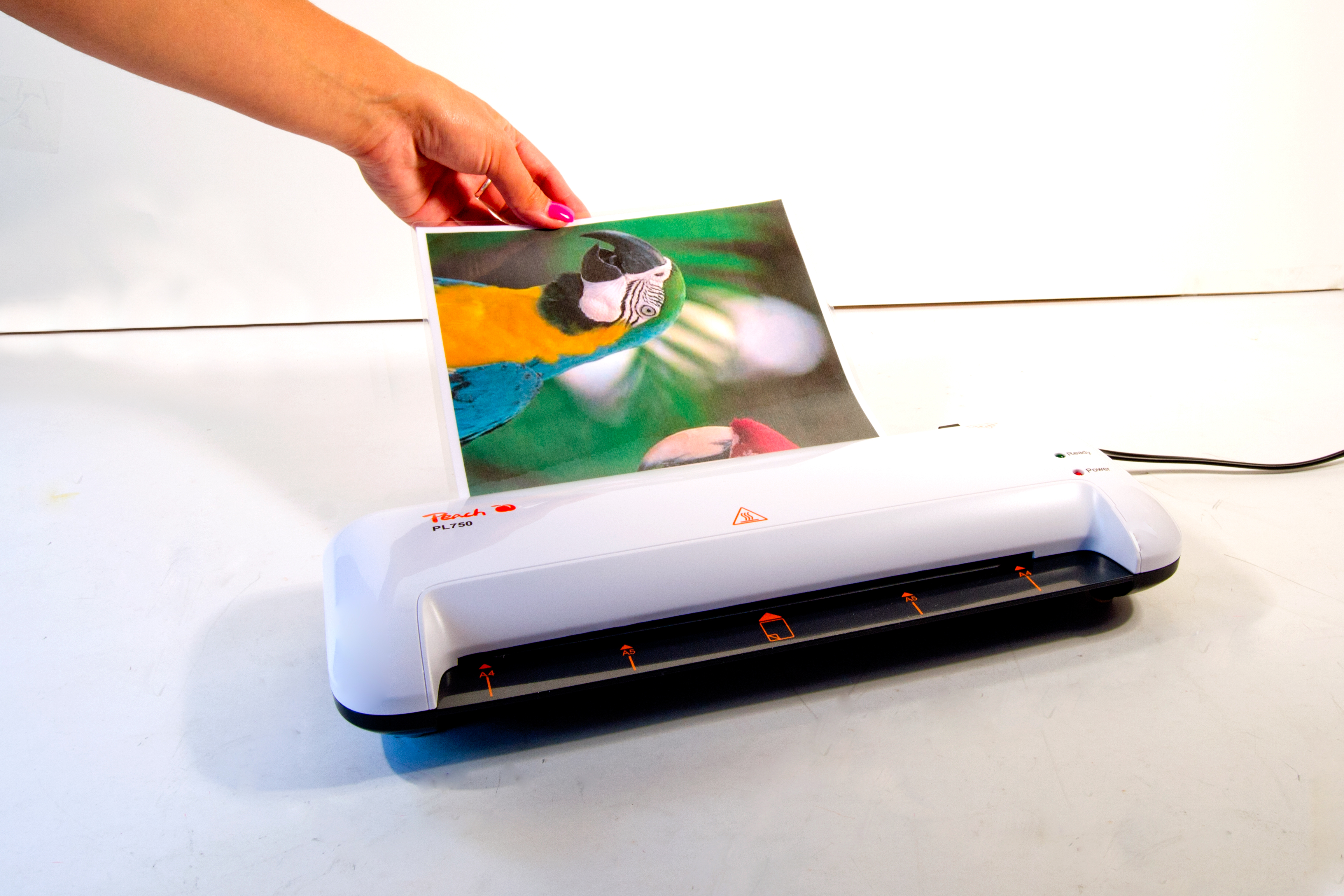 Eine Hand führt ein Bild eines Papageis in einen weißen Laminator ein.