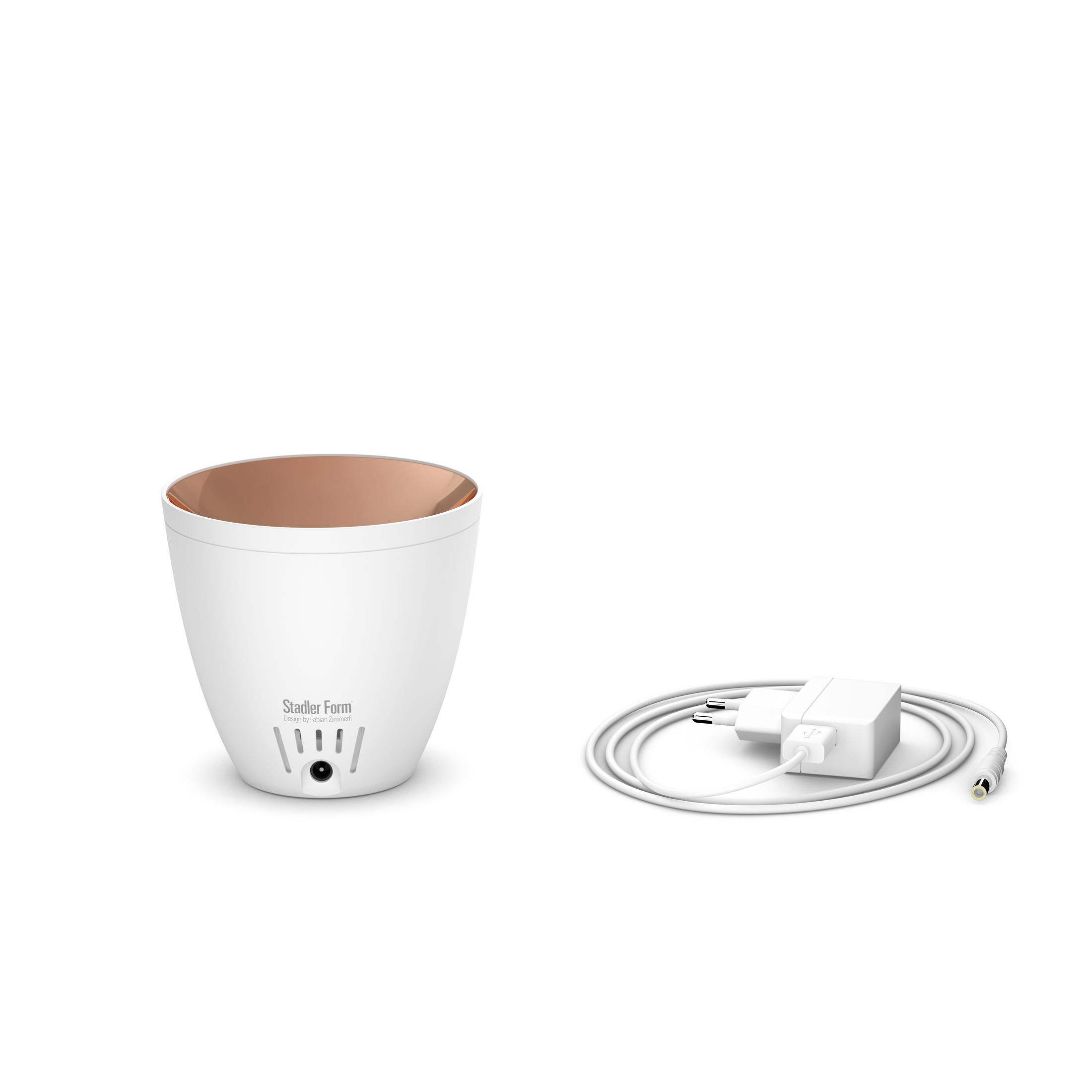 Ein weißer Diffusor mit kupferfarbenem Rand und ein weißes Ladekabel mit Netzteil.