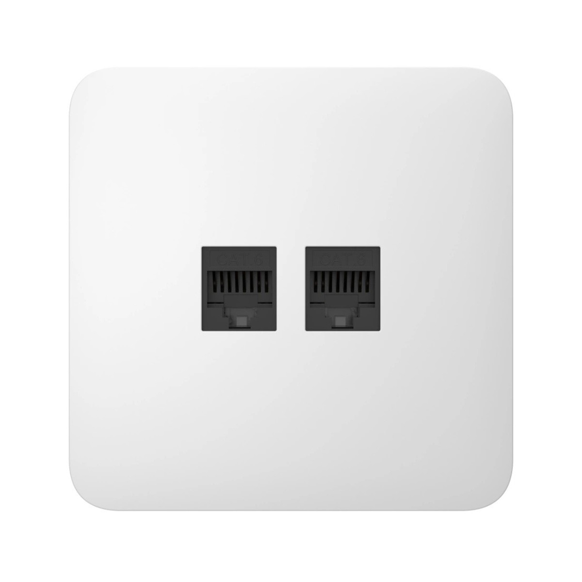 Un alloggiamento bianco con due porte Ethernet CAT6 nere.