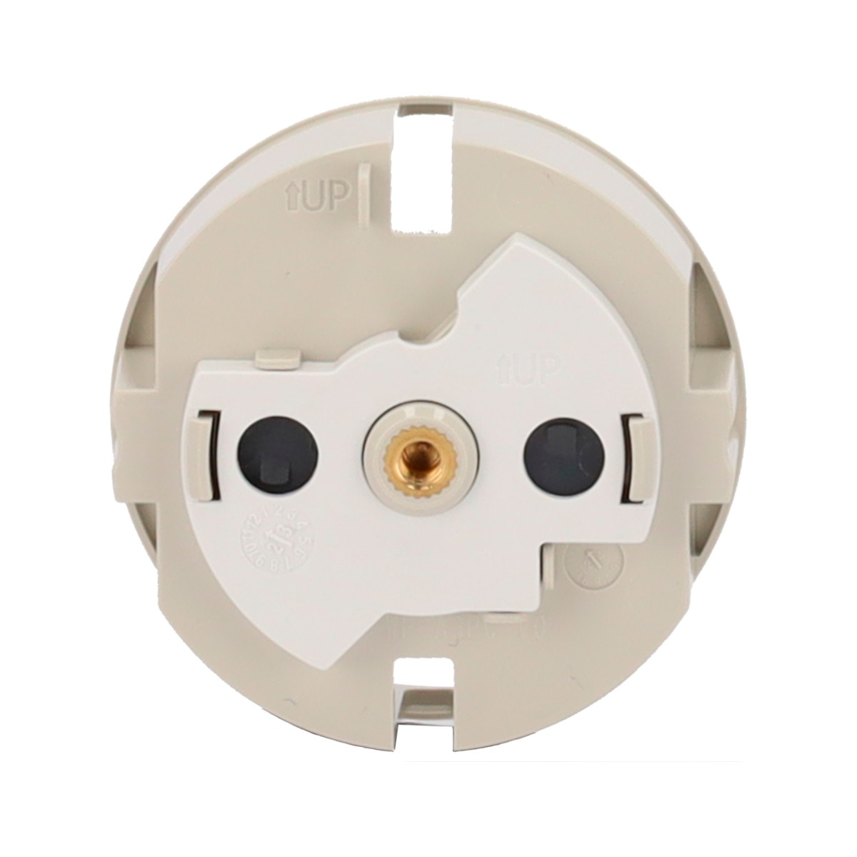 Una spina rotonda beige con inserto bianco e due contatti neri.