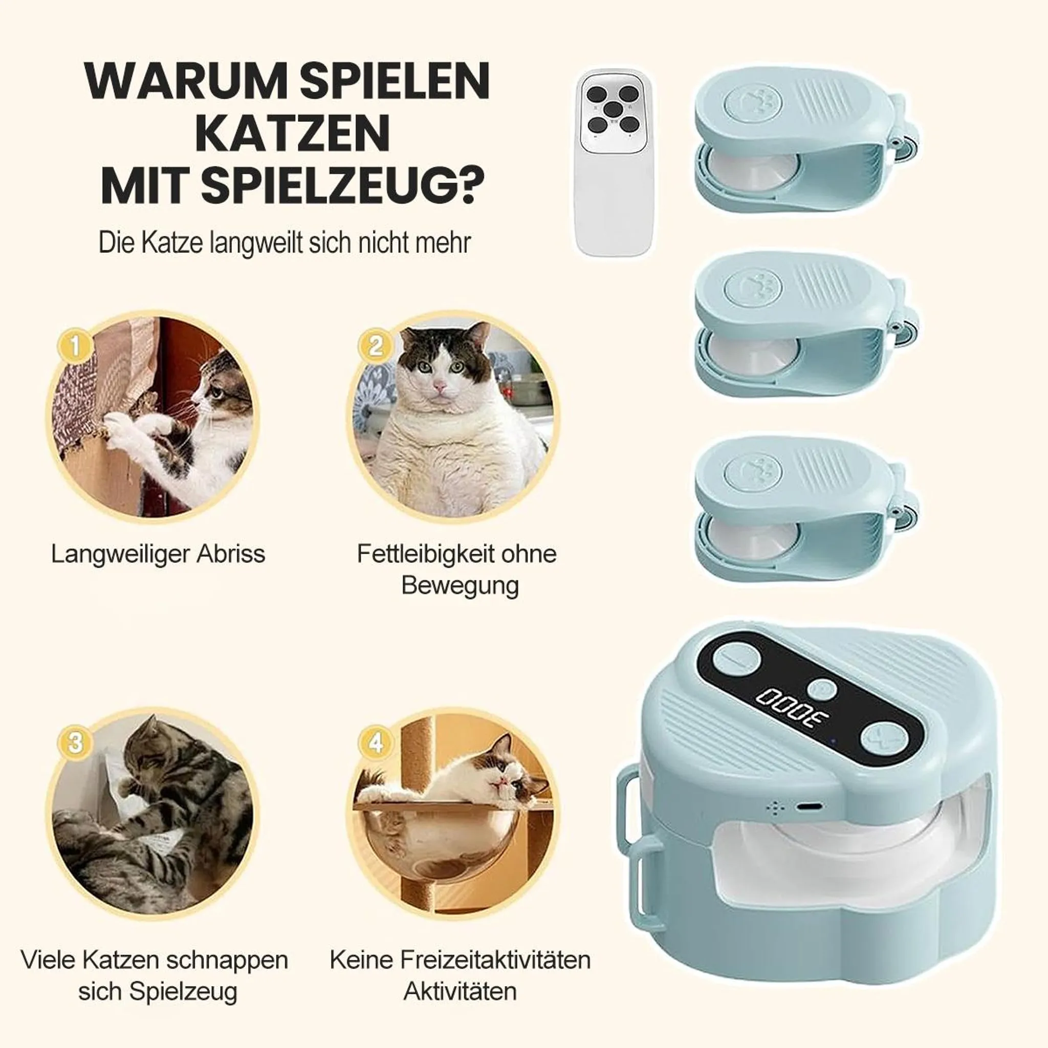 Katzenbilder mit Spielzeug: Kratzen, Übergewicht, Spielen und Entspannen.