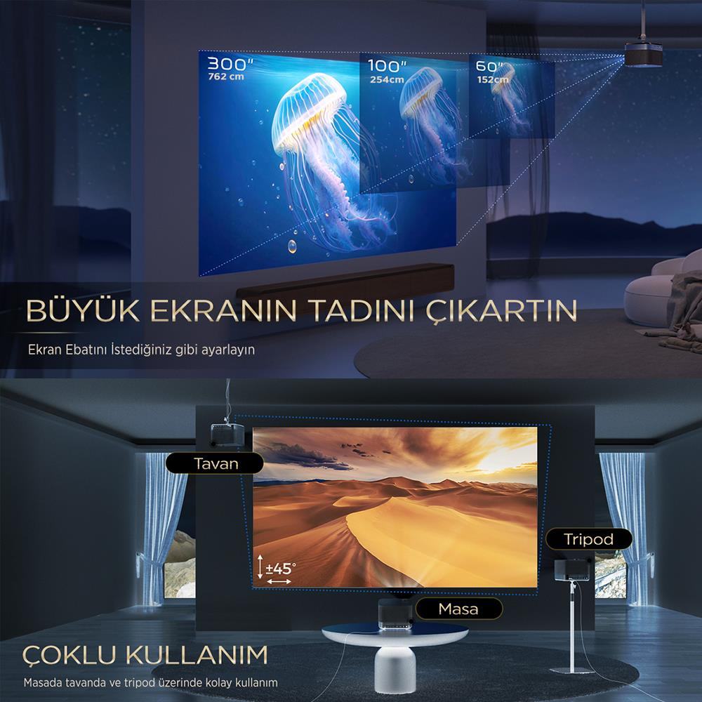 Projektör farklı boyutlarda denizanası gösterir. Altta: ekranda çöl manzarası.