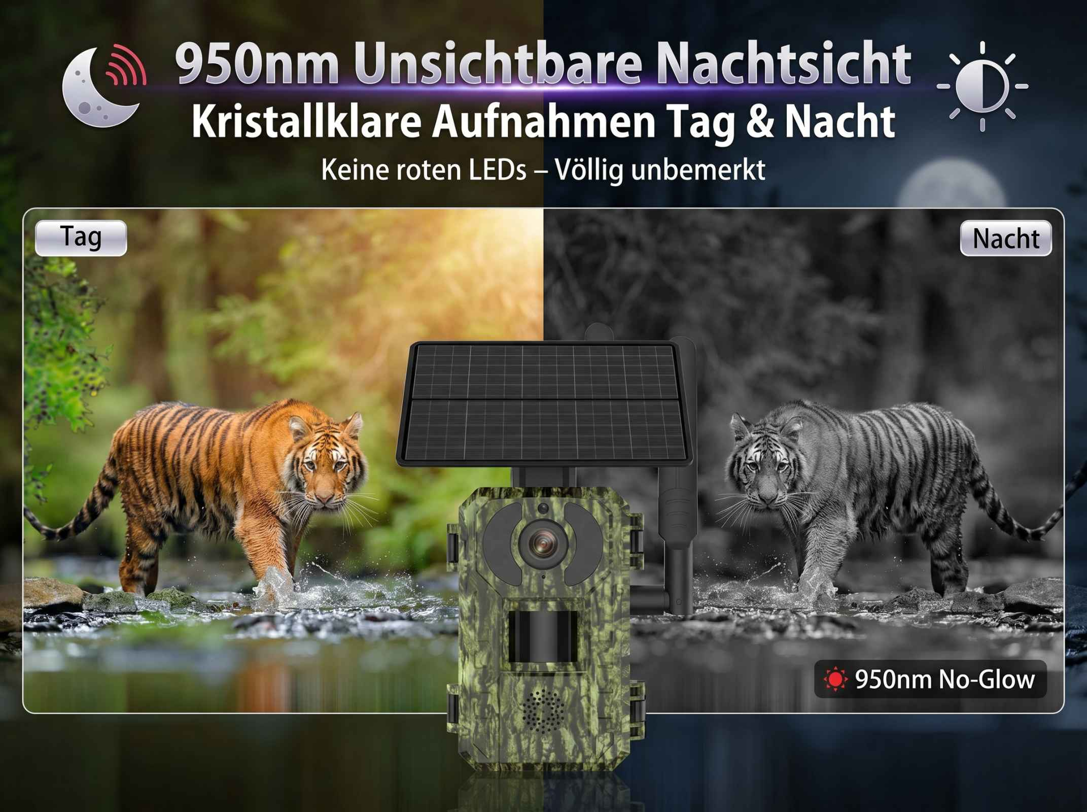 Wildkamera zeigt Tag- und Nachtaufnahmen eines Tigers, mit Solarpanel.