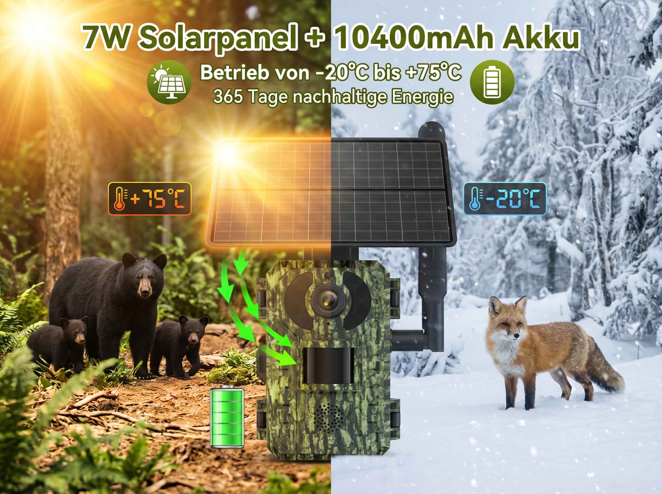 Bärenfamilie im Wald, Fuchs im Schnee, Solarpanel mit Akku.