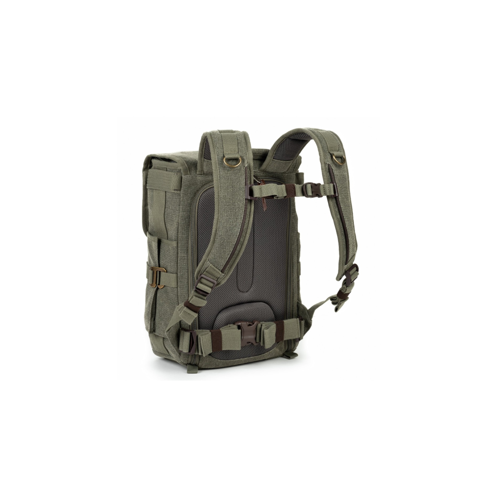 Back view of a green canvas backpack with padded straps and brown leather details.