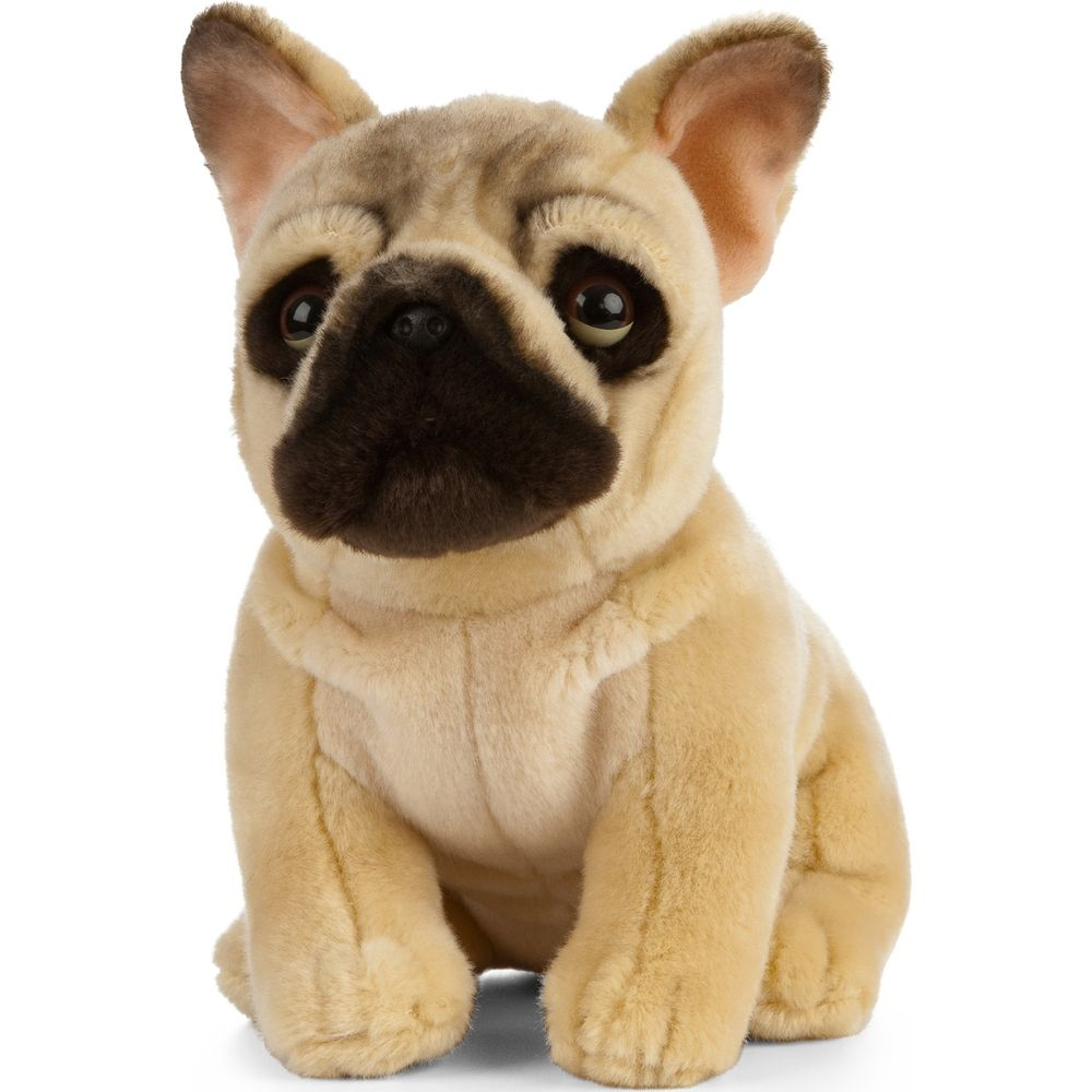 Un bulldog francese di peluche, fulvo e marrone, siede rivolto in avanti, con grandi occhi scuri.
