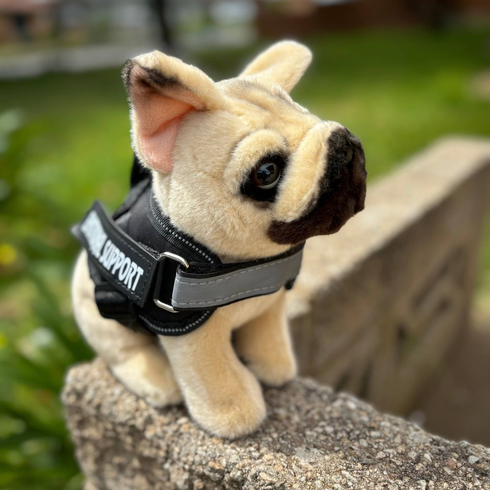 Un carlino di peluche con gilet seduto su pietra. All'aperto.