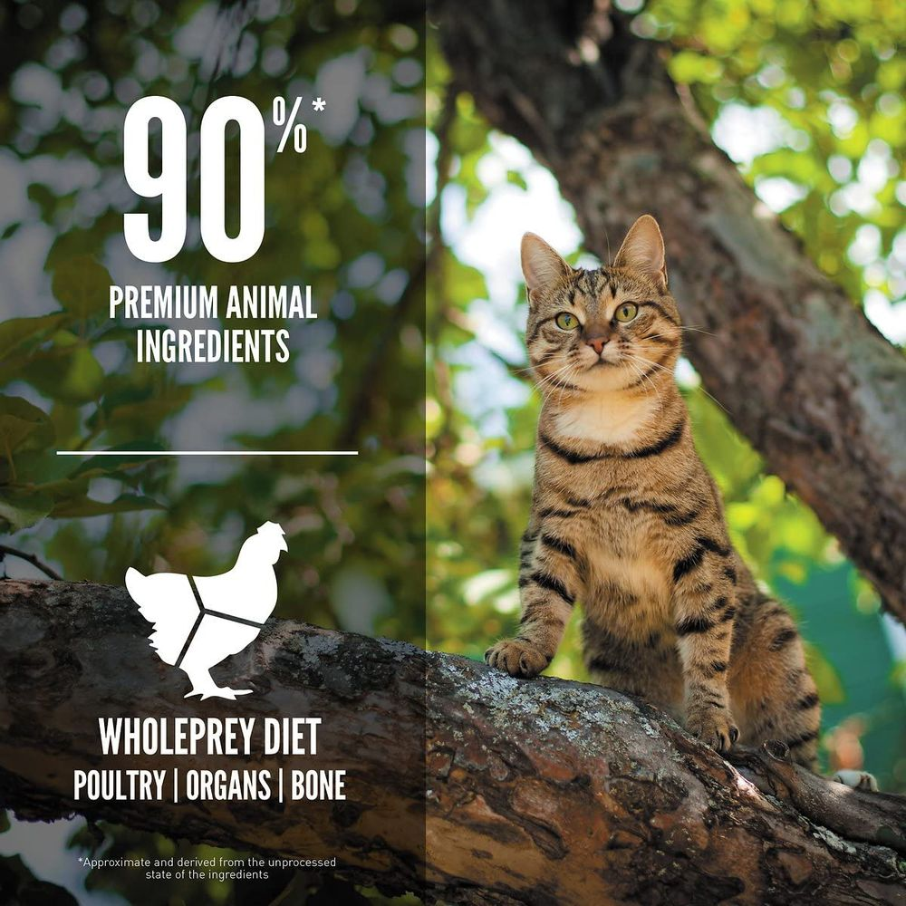 Getigerte Katze sitzt auf einem Ast, mit Text über 90% tierische Premium-Zutaten.