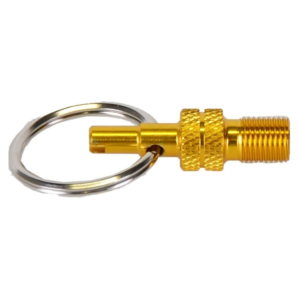 Goldener Ventiladapter mit Schlüsselring, auf weißem Hintergrund.
