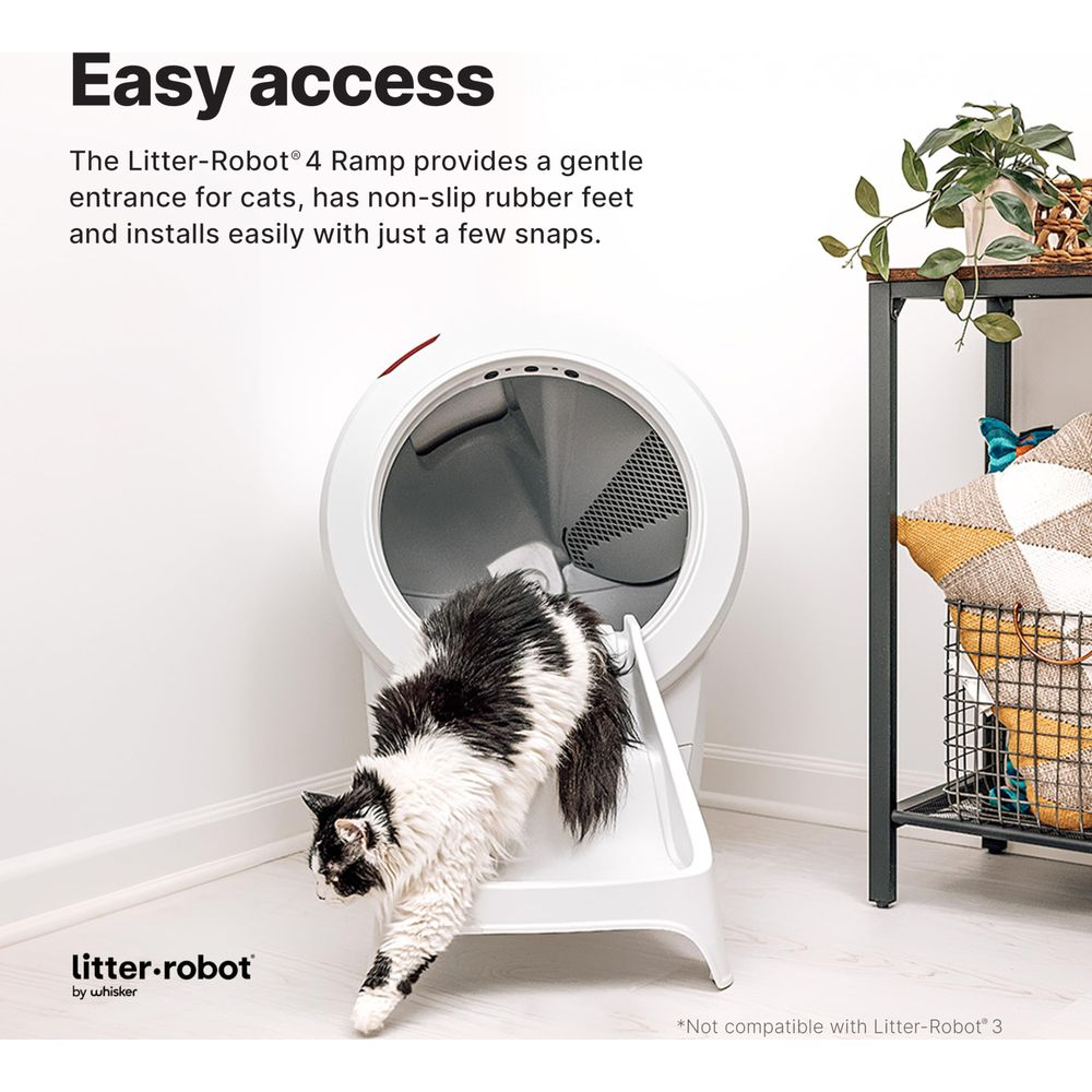 Eine schwarz-weiße Katze steigt eine weiße Rampe hinunter, die zu einem Mülleimer führt.