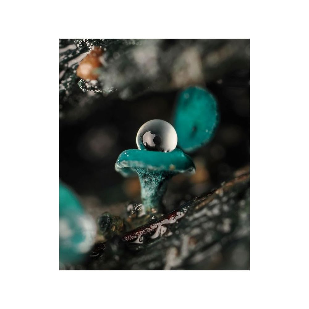 Eine transparente Kugel mit einem Apfel-Logo auf einem kleinen, blauen Pilz.