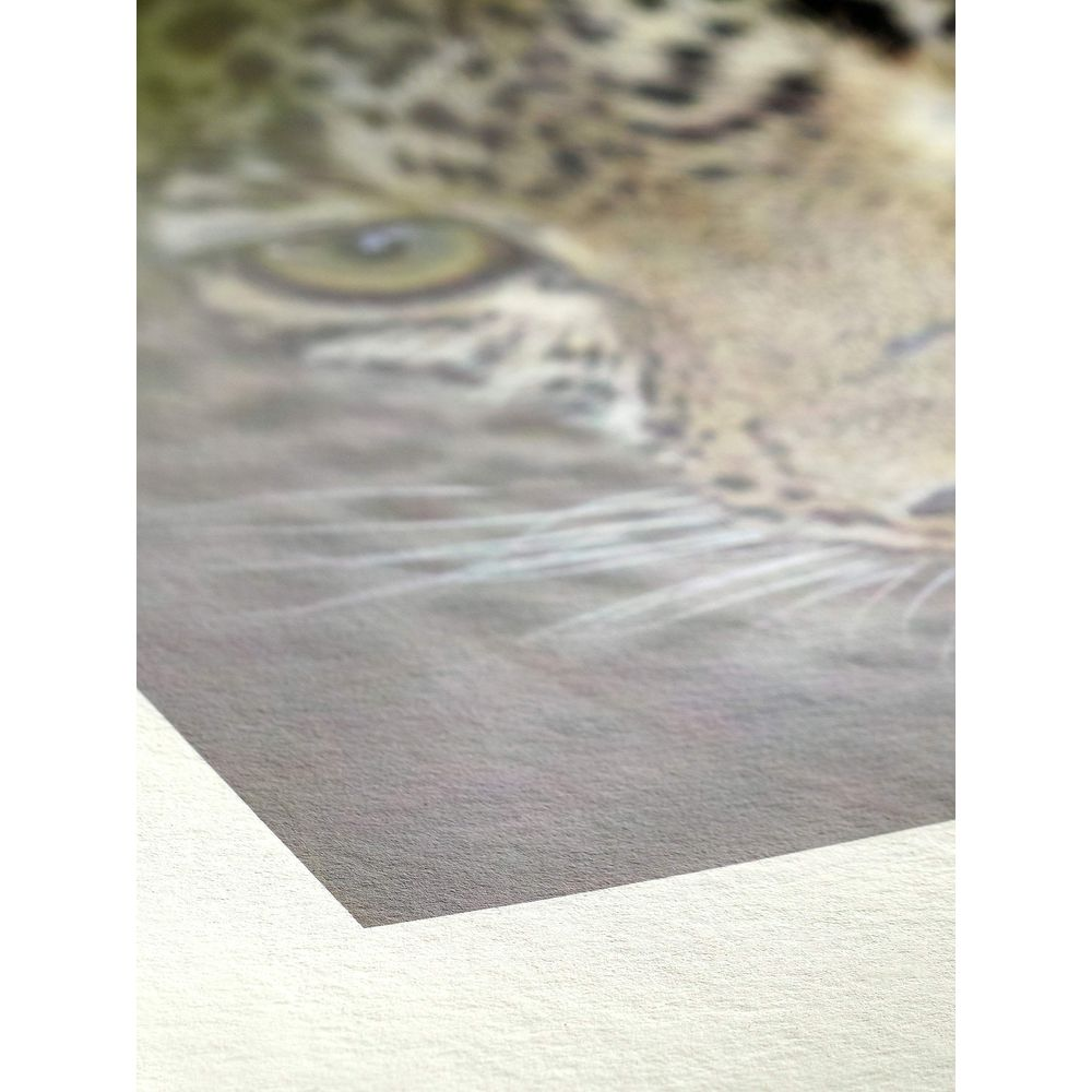 Primo piano del volto di un leopardo, che mostra il suo occhio verde e i baffi.