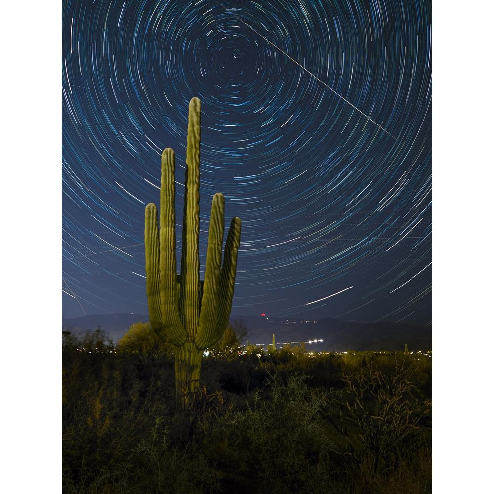 Ein Saguaro-Kaktus im Vordergrund unter einem Sternenhimmel mit kreisenden Sternenspuren.