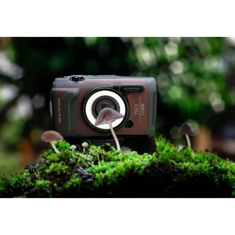 Eine braune Olympus TG-7 Kamera steht auf bemoostem Untergrund mit kleinen Pilzen.