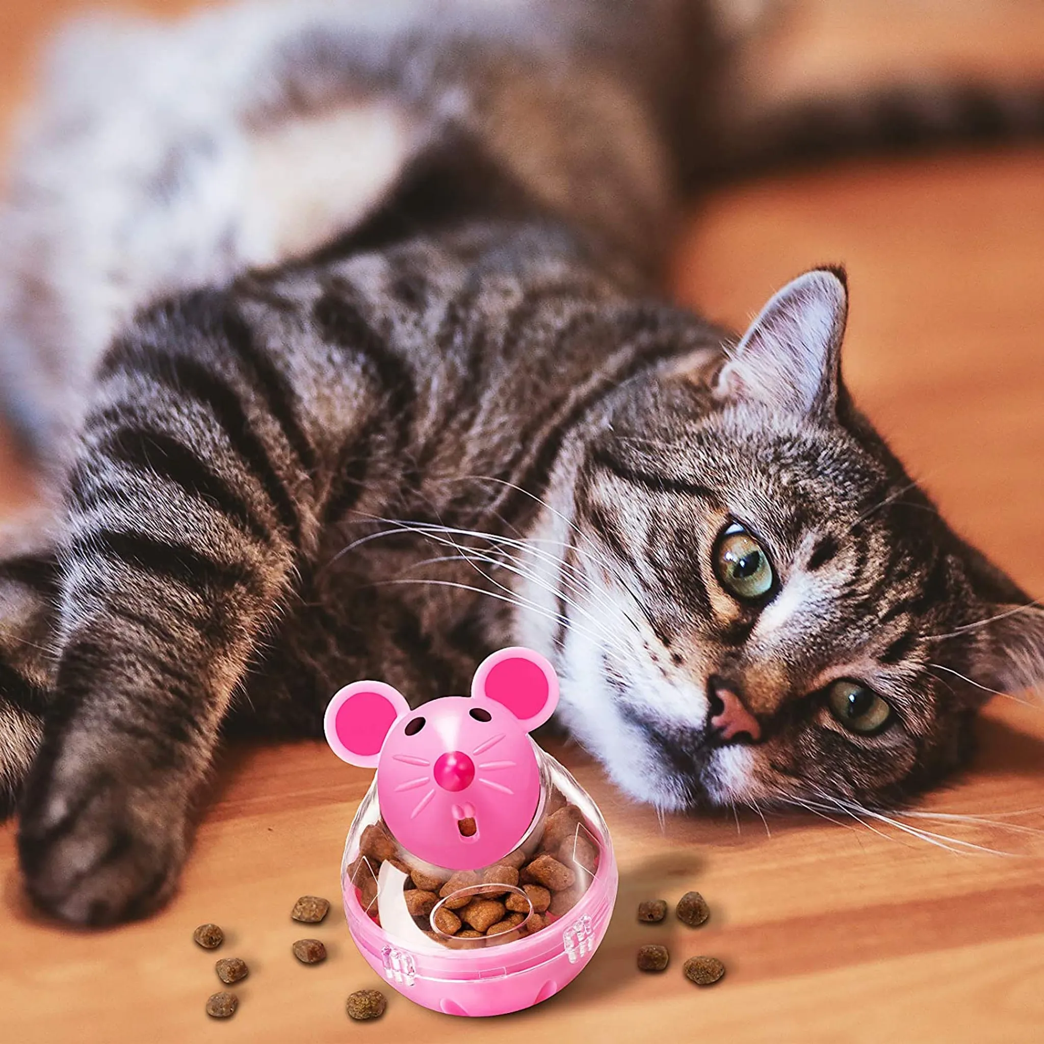 Eine Katze liegt neben einem rosa Futternapf in Mausform mit Futter.