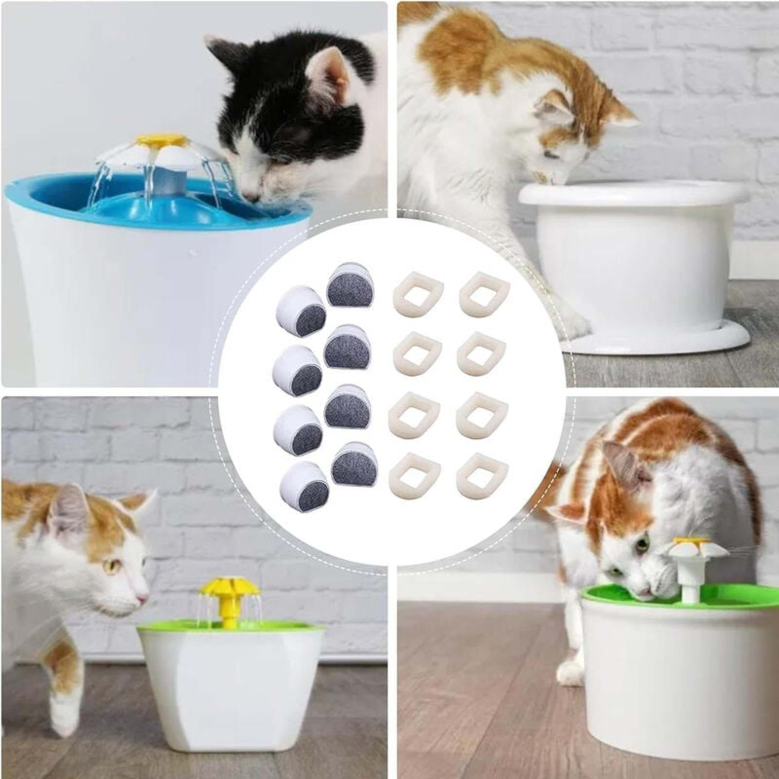 Katzen trinken aus Wasserspendern; Filter und Ersatzteile sind zu sehen.