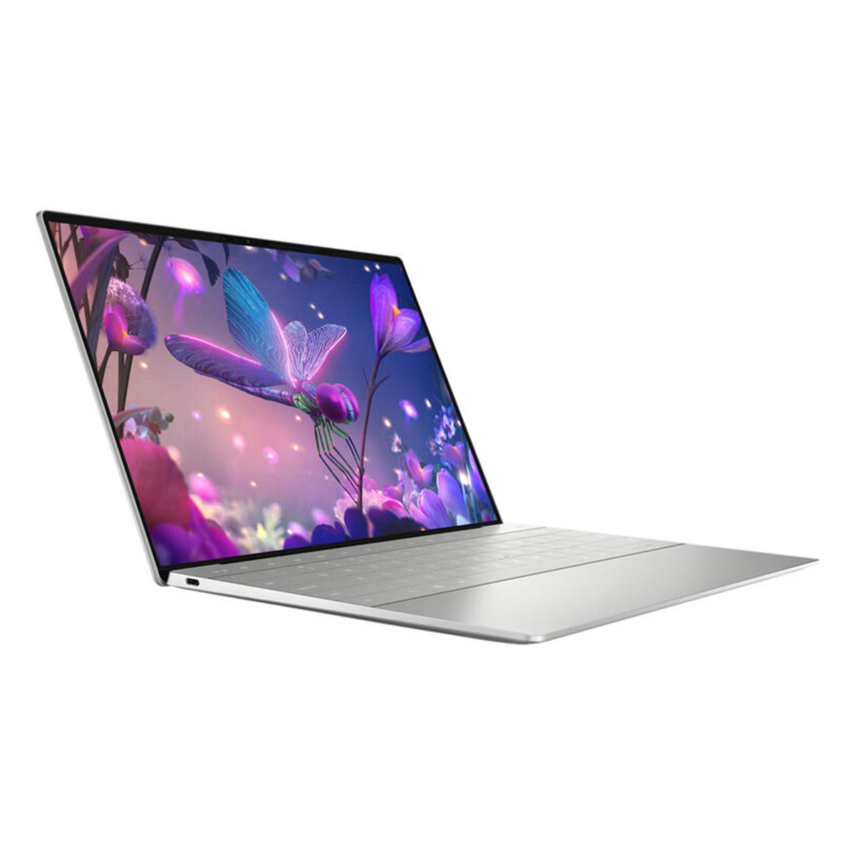 Srebrny laptop z motylem i kwiatami na ekranie, na białym tle.