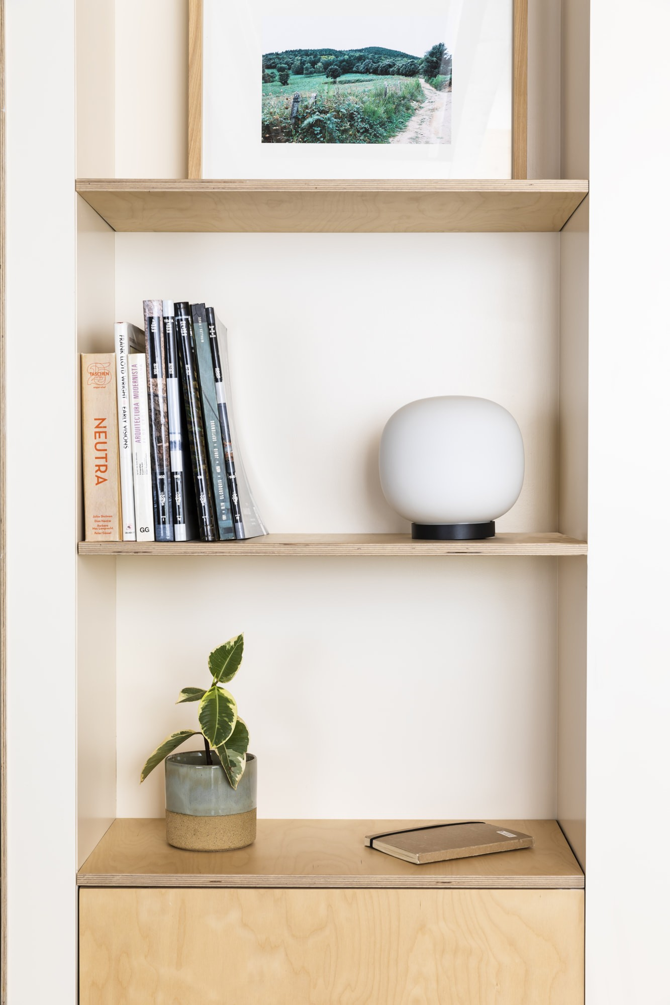Una libreria con libri, una lampada, una pianta e un quadro.