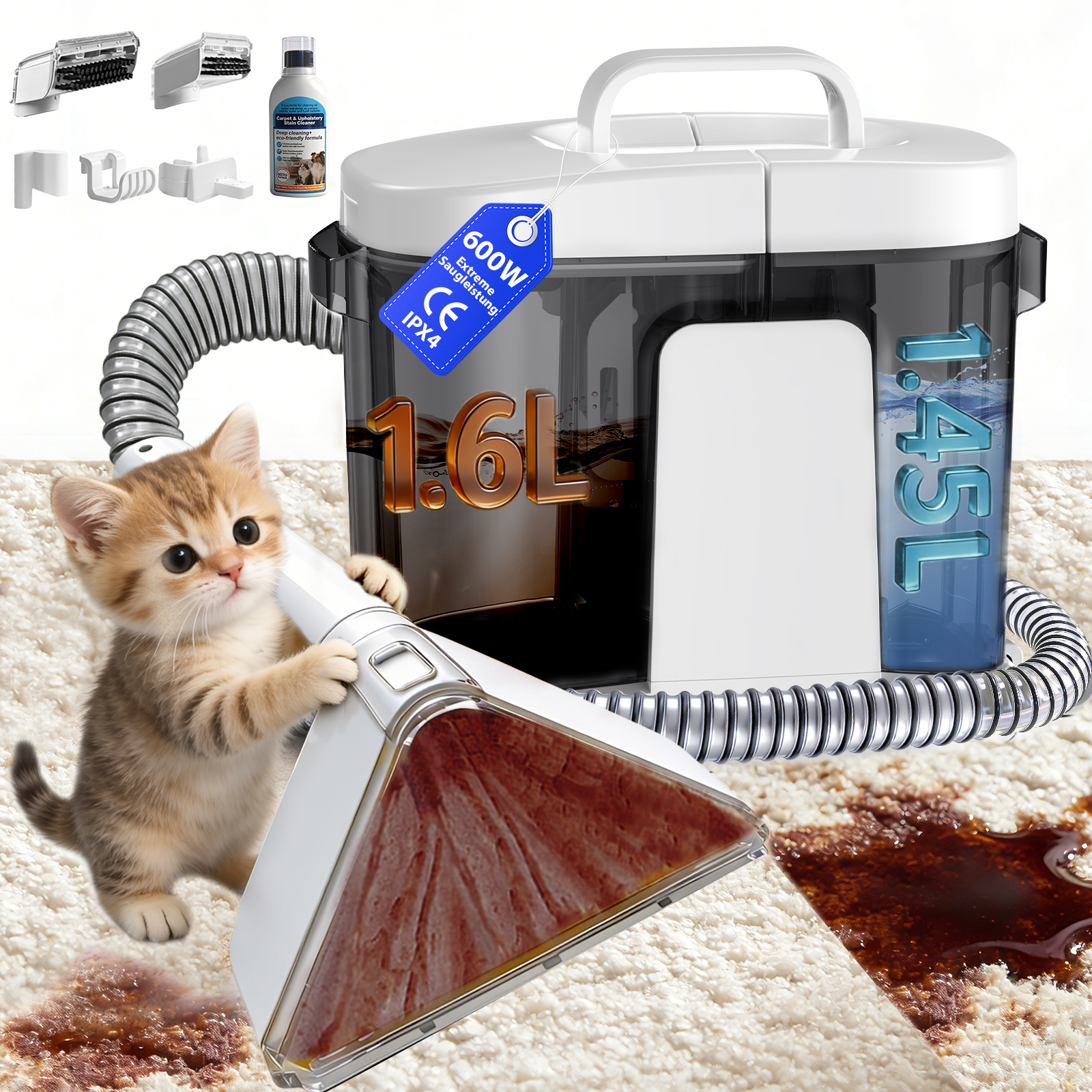 Un gattino usa un pulitore per tappeti su un tappeto macchiato.