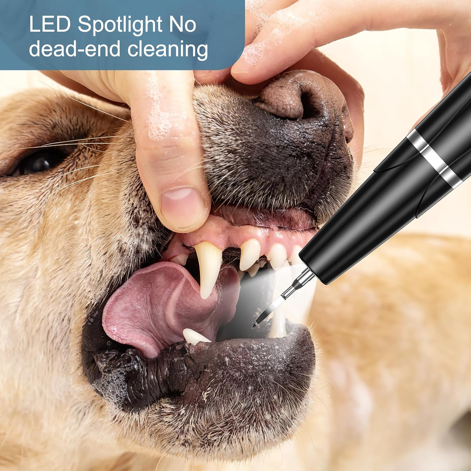 Eine Hand hält das Maul eines Hundes offen, während ein schwarzes Gerät mit LED-Licht die Zähne reinigt.