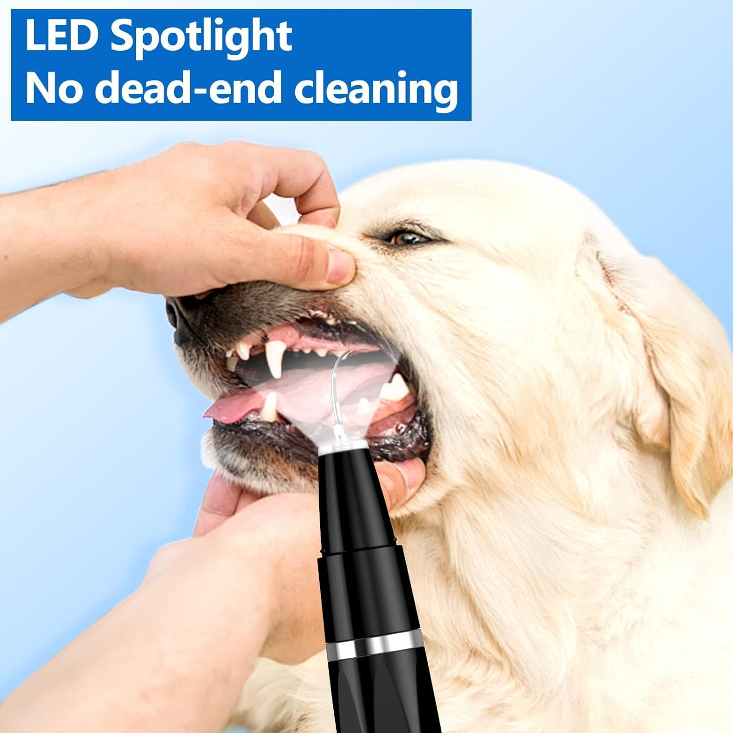 Ein Mann reinigt die Zähne eines Hundes mit einem LED-Gerät.