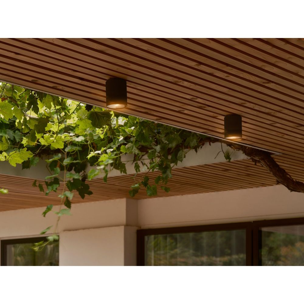 Due lampade cilindriche scure su soffitto in legno, circondate da viti verdi.