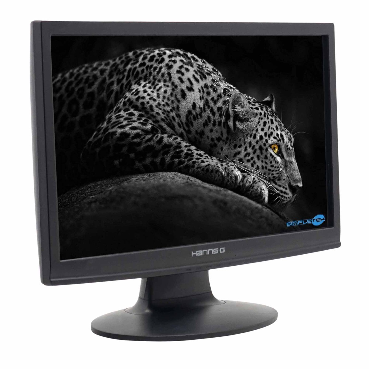 Un monitor in bianco e nero mostra un leopardo sdraiato su una roccia.