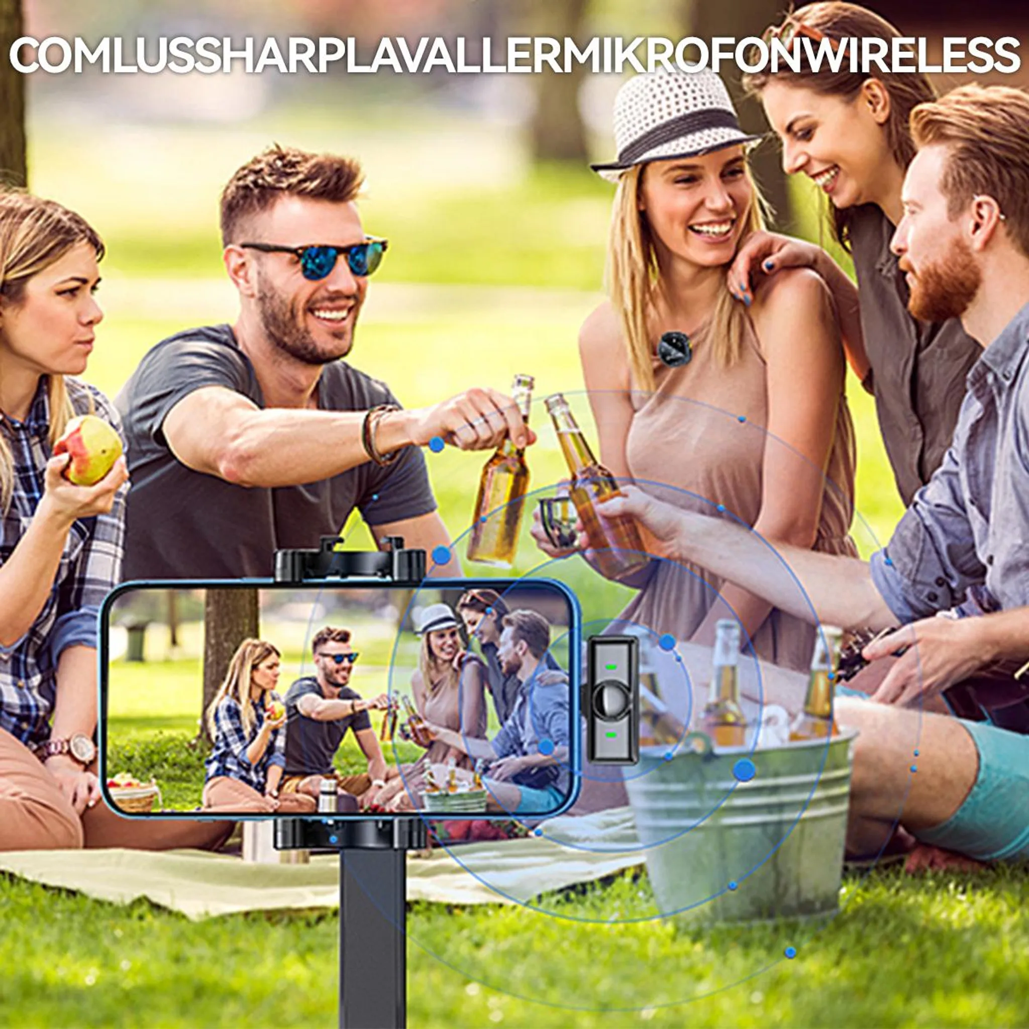 Freunde picknicken im Park, trinken Bier und halten eine Frucht.