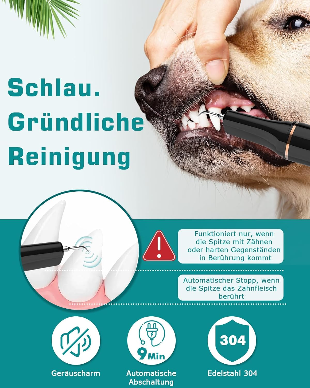 Ein Hund wird die Zähne gereinigt. Informationen zu Geräuscharm, 9 Min, Edelstahl 304.