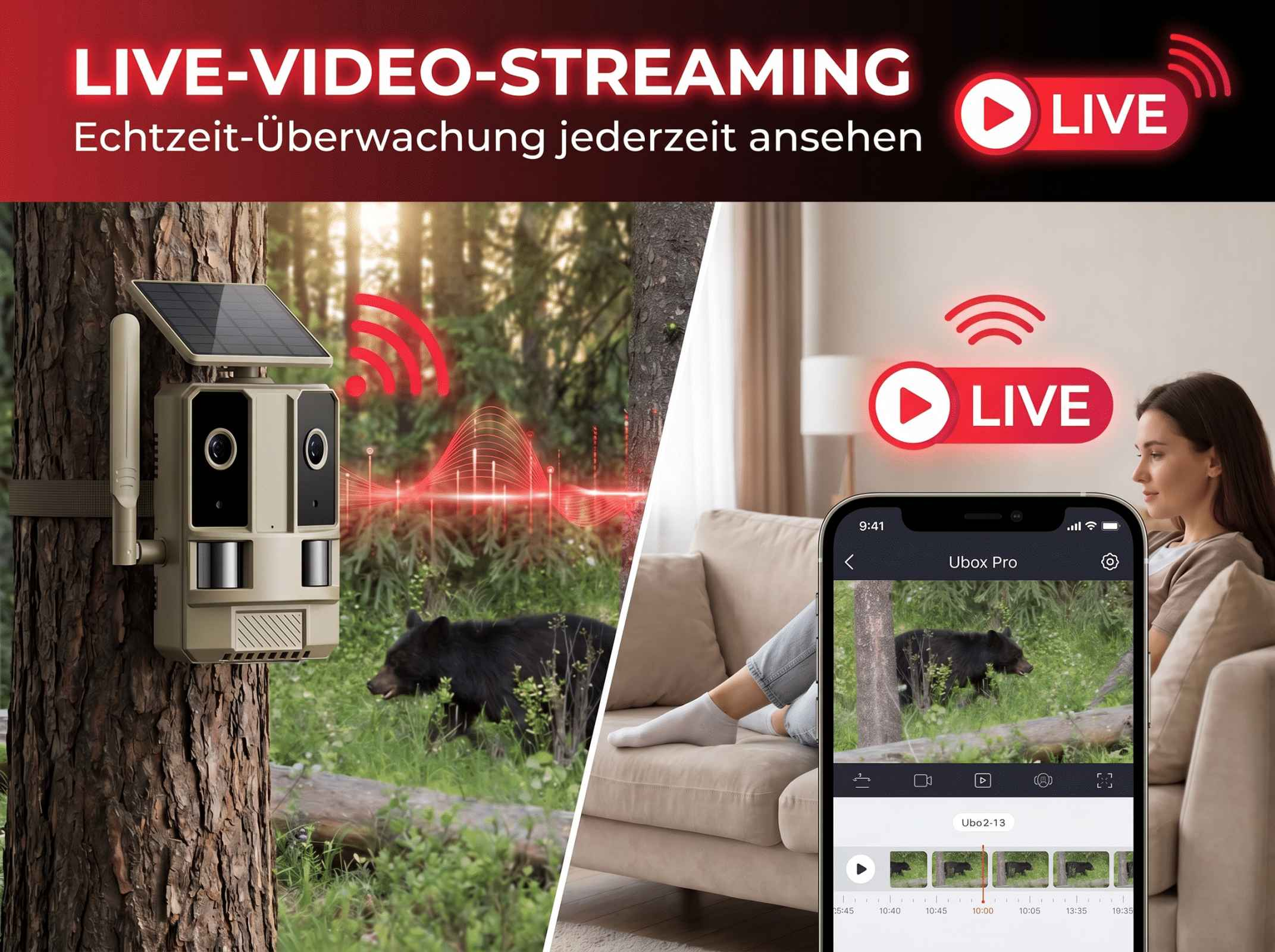 Eine Kamera am Baum filmt einen Bären. Eine Frau sieht live auf ihrem Handy zu.