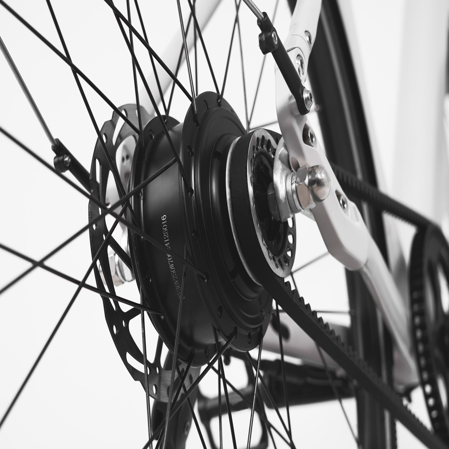 Primer plano de un buje de bicicleta con radios, disco de freno y transmisión por correa.