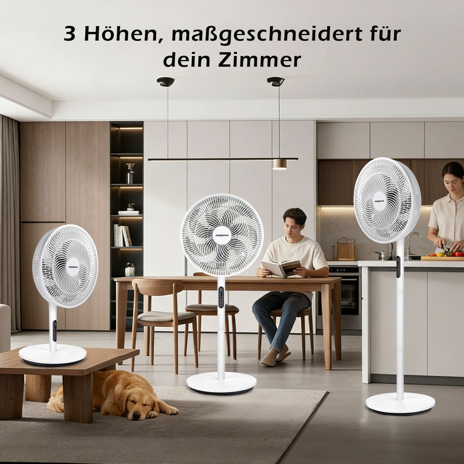 Drei weiße Standventilatoren in einem modernen Wohnbereich mit einem Hund.