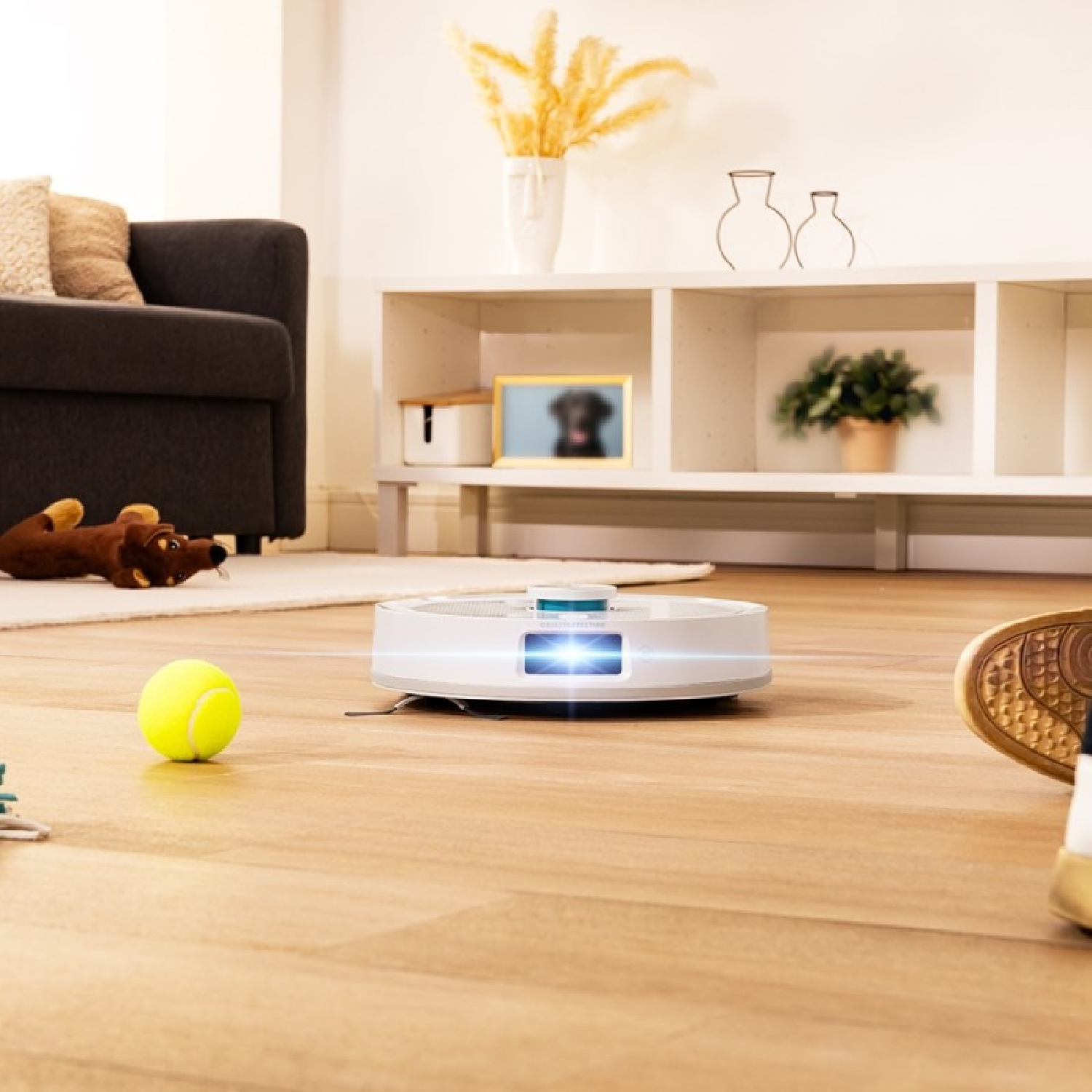 Un robot aspirapolvere bianco pulisce un pavimento in legno, con una pallina da tennis gialla nelle vicinanze.