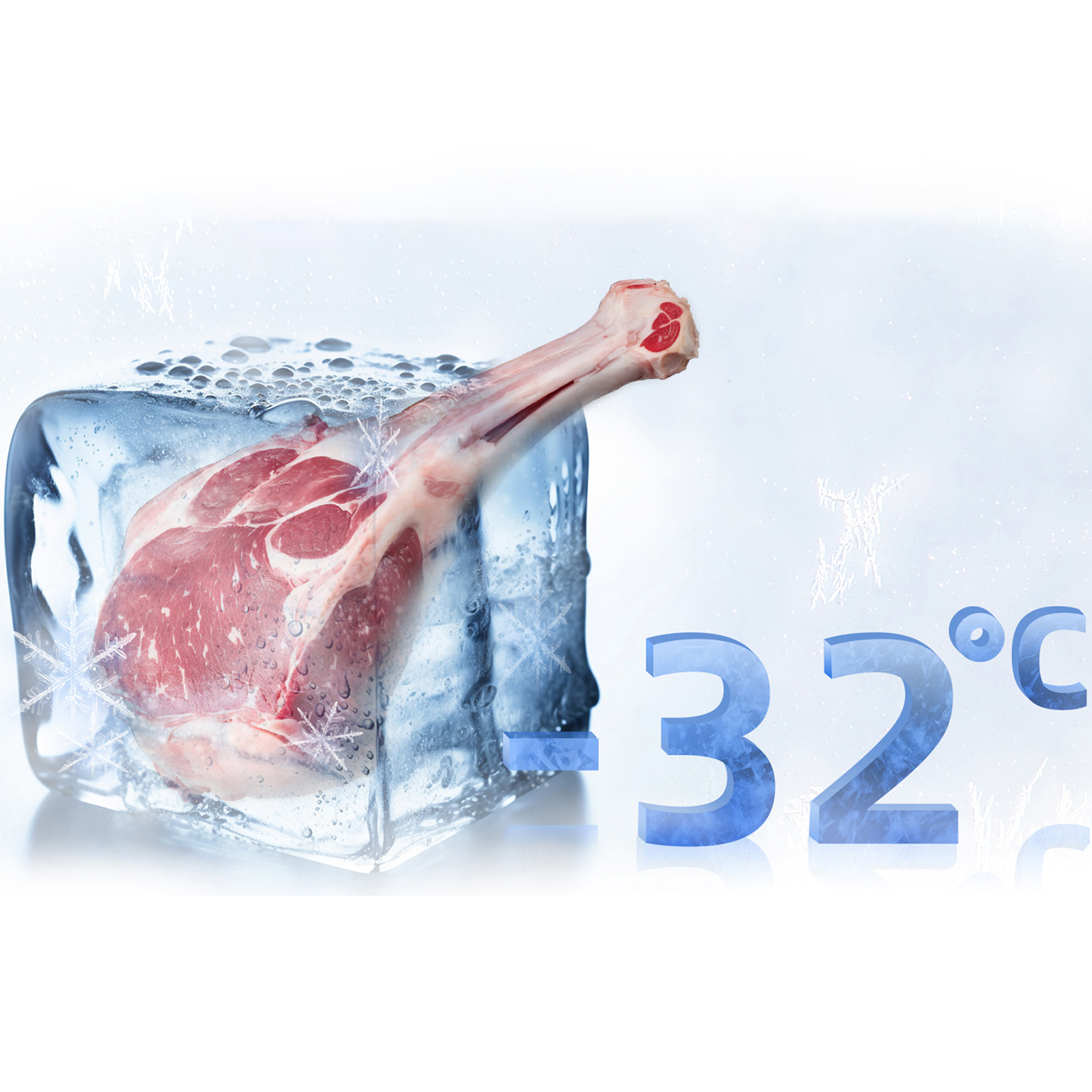 Ein Stück Fleisch ist in einem Eiswürfel gefroren. Die Temperatur beträgt -32°C.
