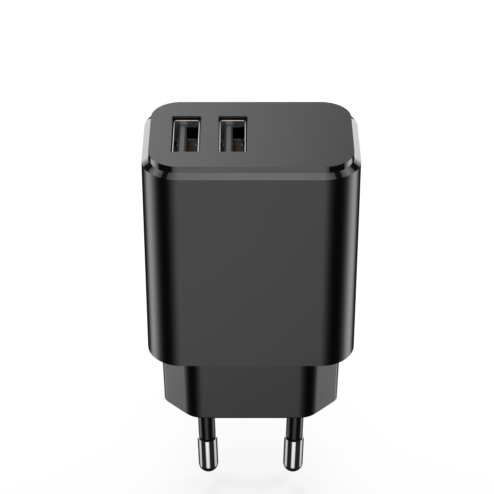 Un alimentatore nero con due porte USB e due pin.