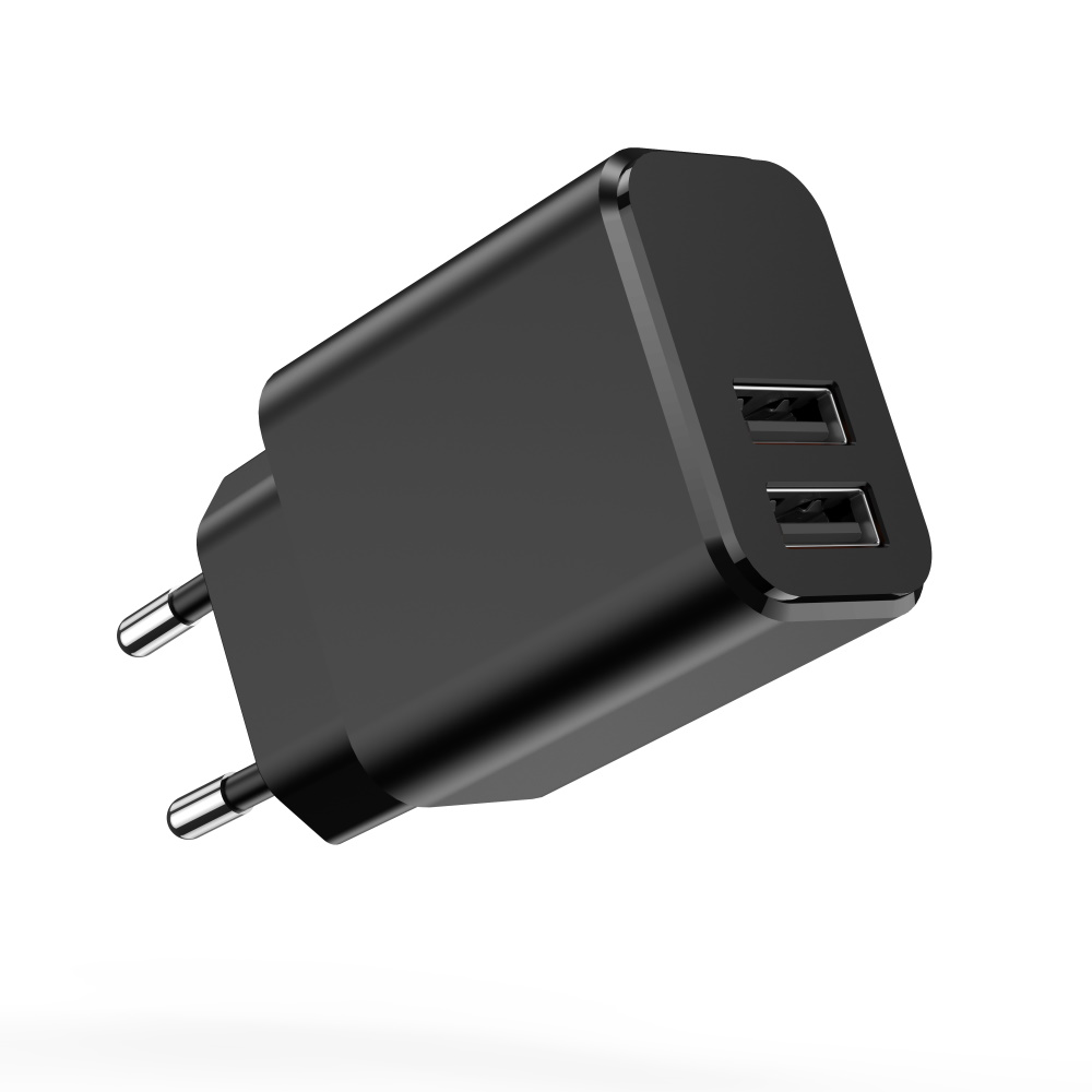 Un caricabatterie da muro USB doppio nero con due pin metallici è mostrato su sfondo bianco.