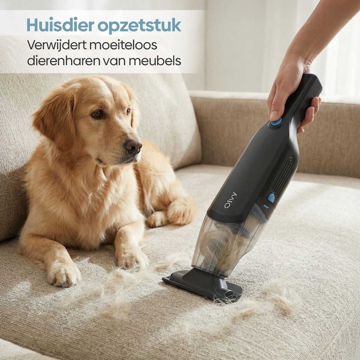 Een golden retriever rust op een bank terwijl een kruimeldief dierenharen opzuigt.