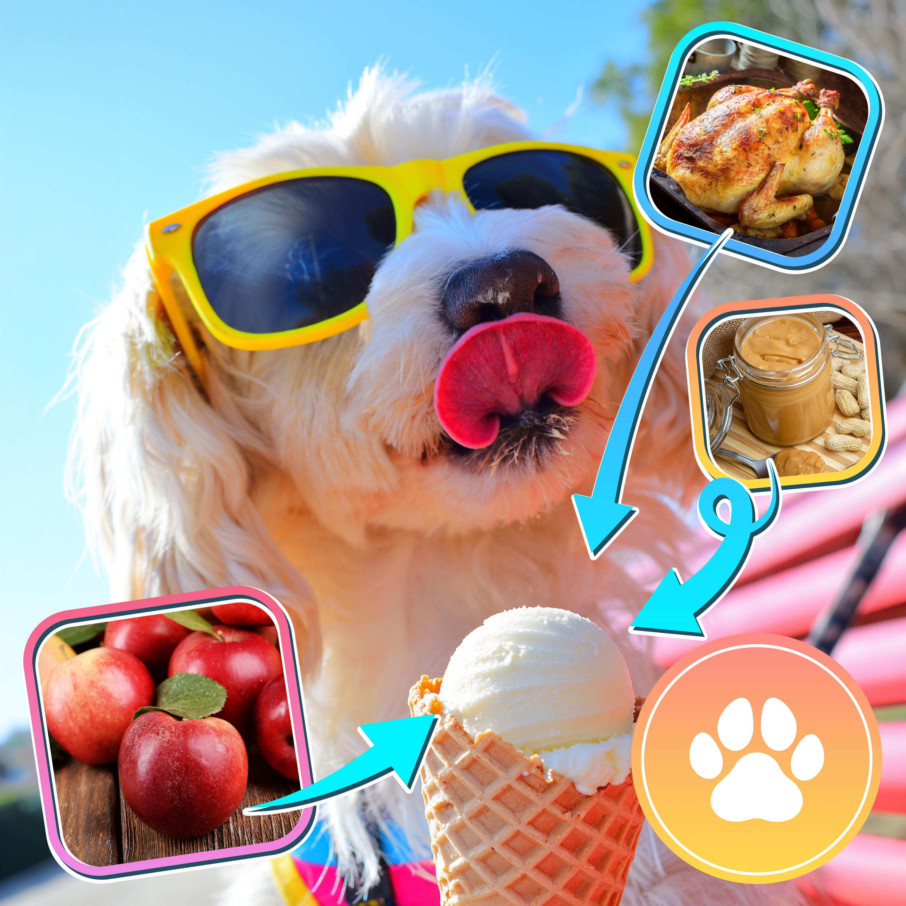Ein Hund mit Sonnenbrille leckt Eis. daneben sind Huhn, Erdnussbutter und Äpfel.