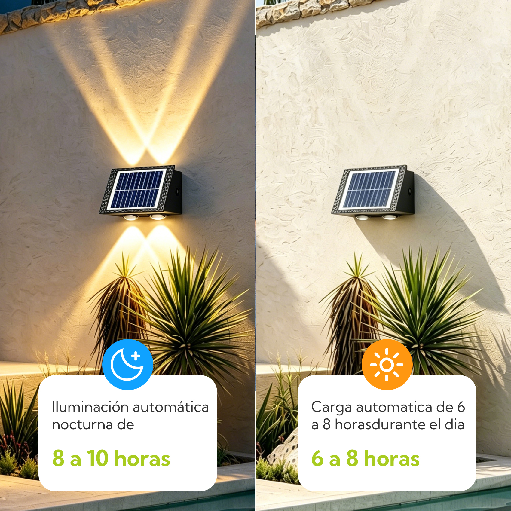 Luz solar ilumina pared y plantas de noche y de día.
