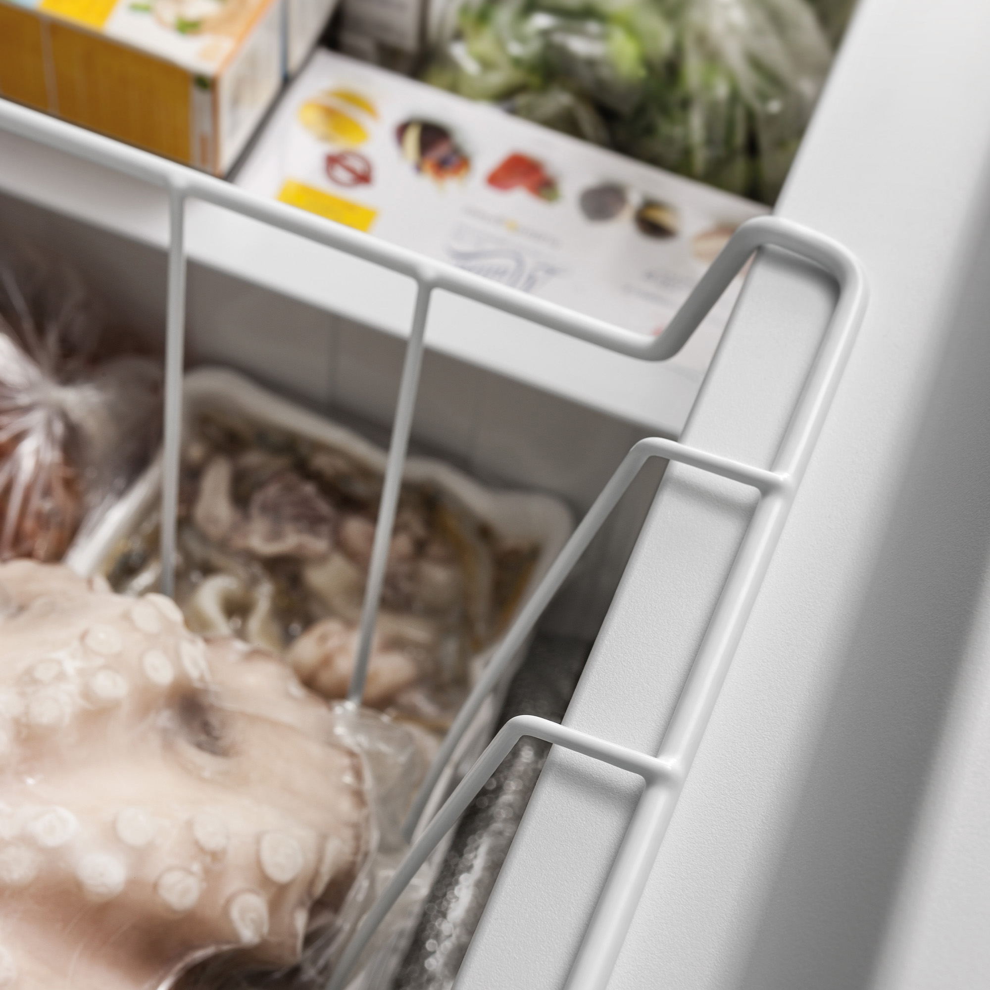 Gefrorene Lebensmittel, darunter ein Oktopus und Verpackungen, in einem Gefrierschrank.