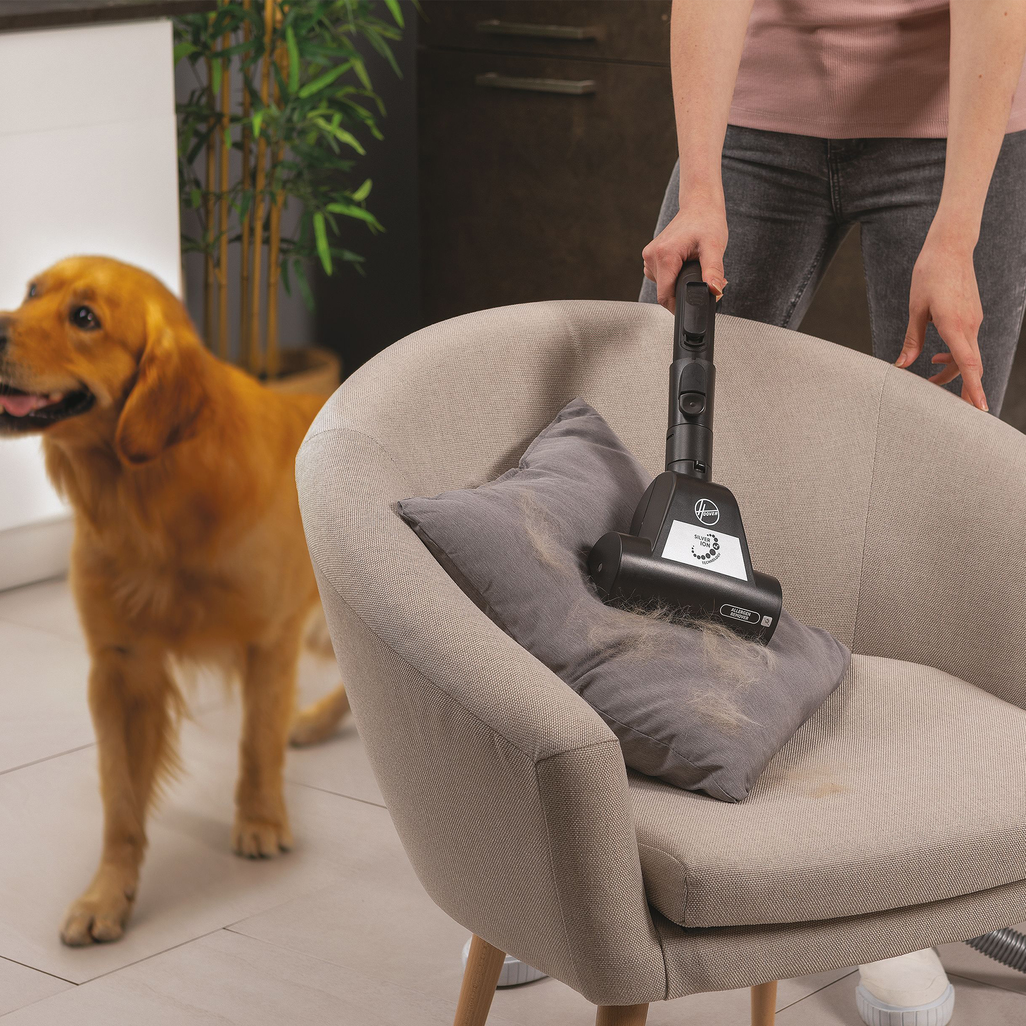 Un perro está junto a un sillón mientras una aspiradora le quita pelo de mascota.