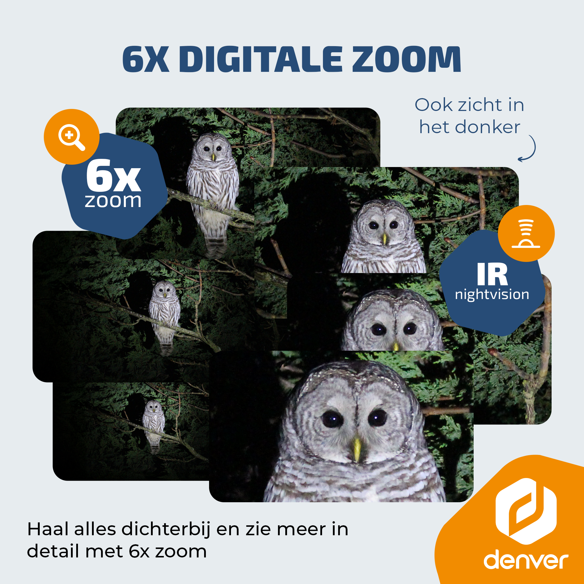Image of owls with 6x zoom and night vision capability.