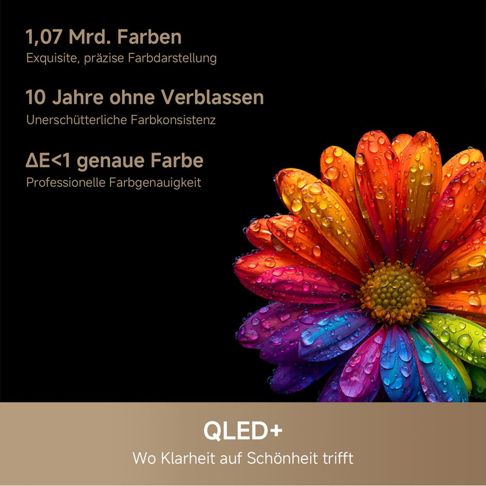 Eine mehrfarbige Blume mit Wassertropfen auf schwarzem Hintergrund, QLED+ Logo unten.